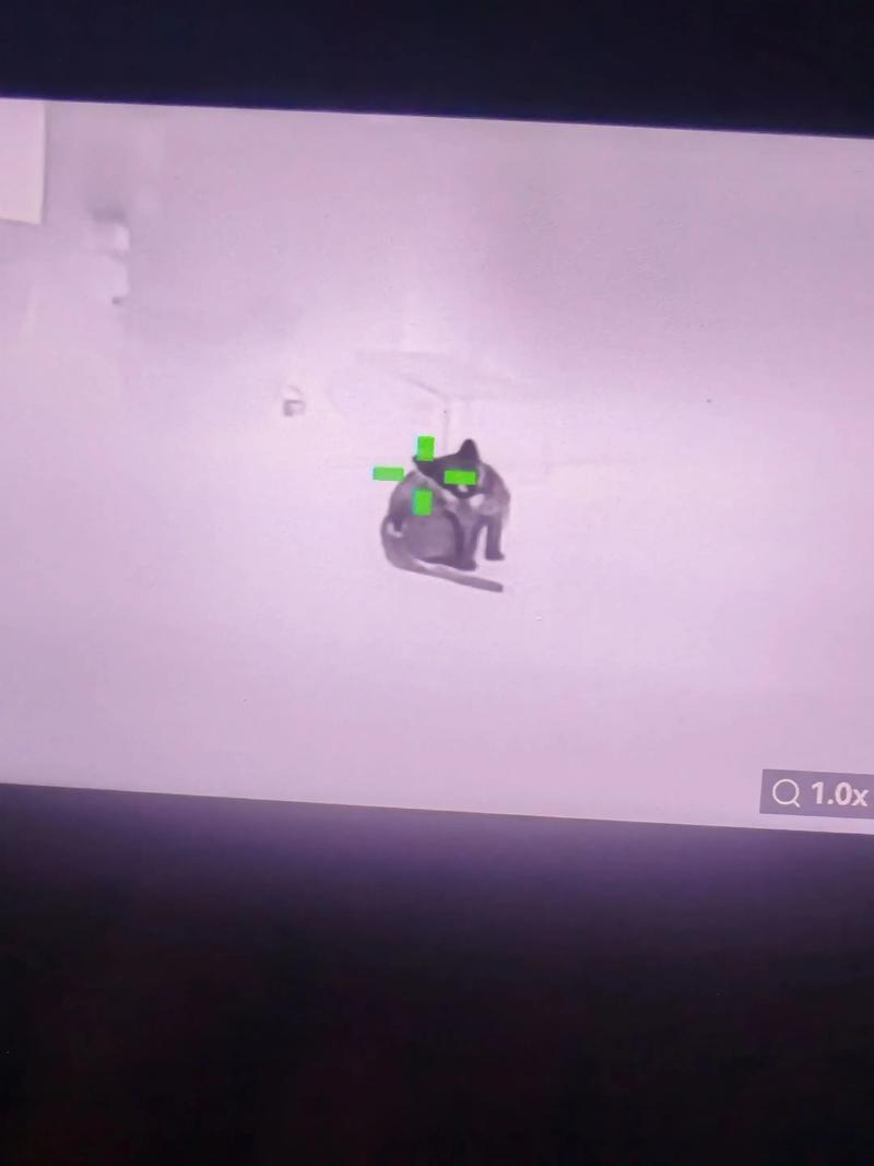 利用css属性生成首字母文字头像代码